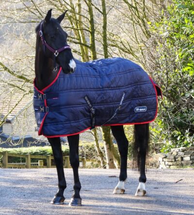 Rastrick 100g Stable Rug