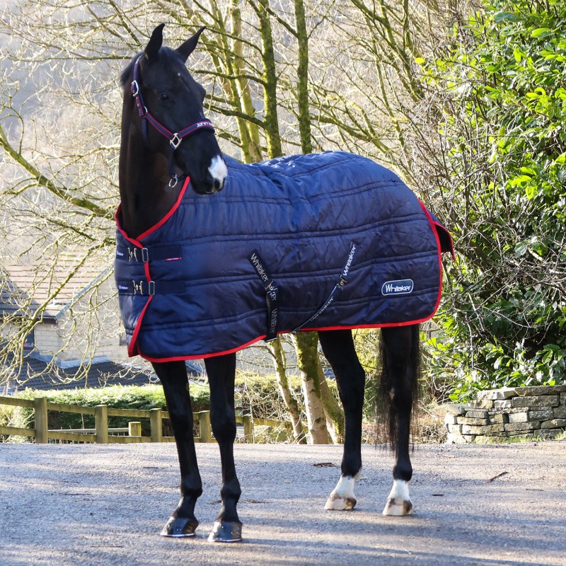 Rastrick 100g Stable Rug