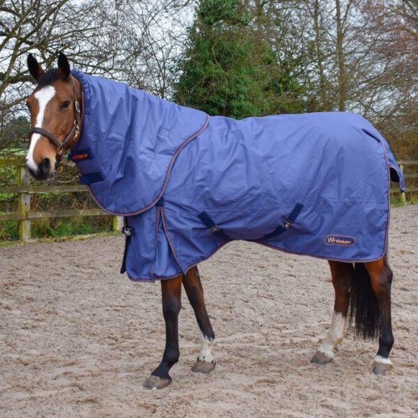 Aster 150g Combo Turnout Rug