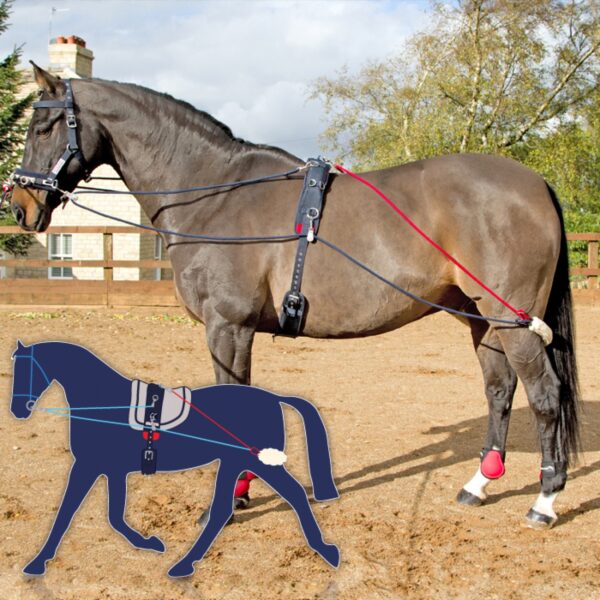 John Whitaker Training System - Image 4