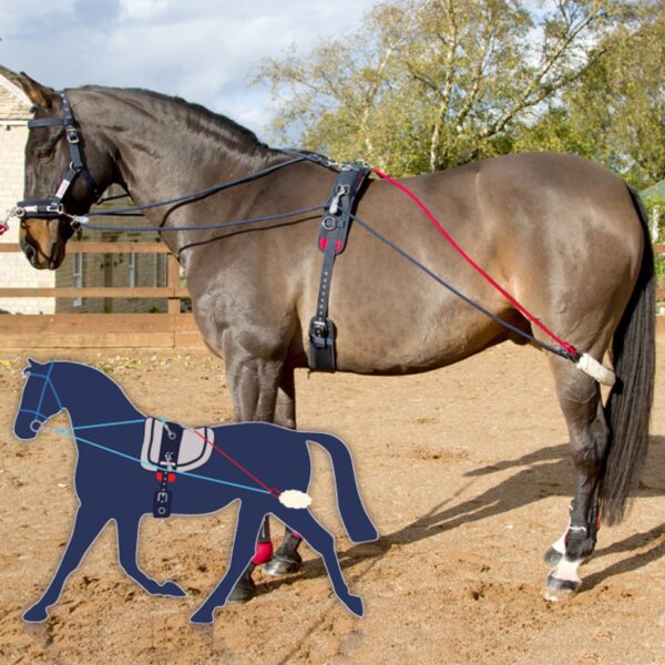 John Whitaker Training System - Image 5