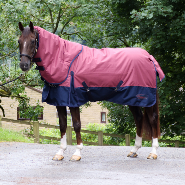 Larkspur 300g Combo Turnout Rug