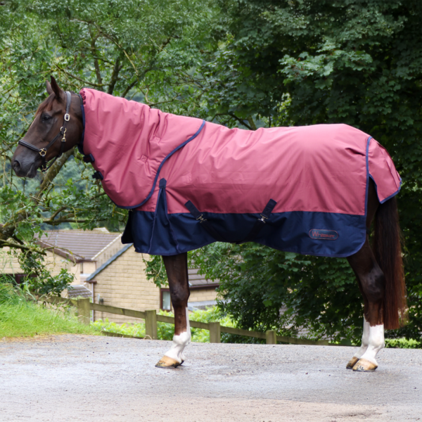 Larkspur 300g Combo Turnout Rug - Image 2