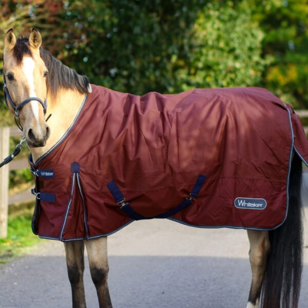 Lupin 100g Turnout Rug in Ruby