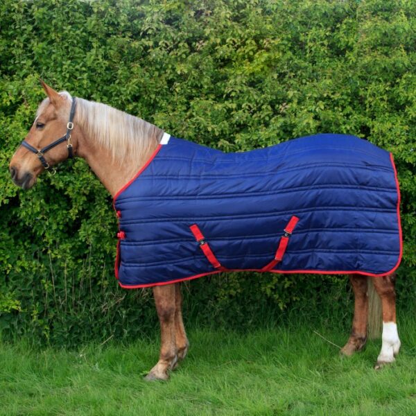 Thomas 250g Stable Rug - Image 6