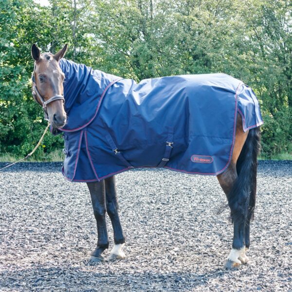 Rastrick 250g Combo Turnout Rug