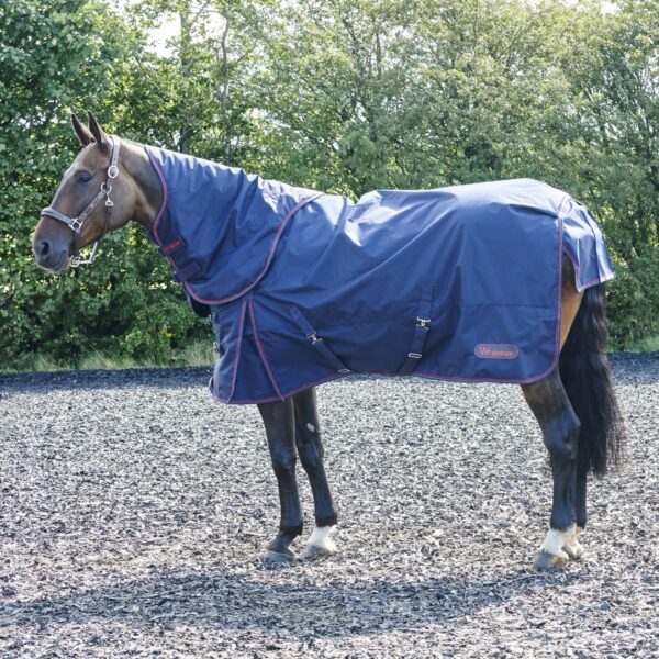 Rastrick 250g Combo Turnout Rug - Image 3