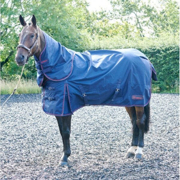 Rastrick 250g Combo Turnout Rug - Image 2