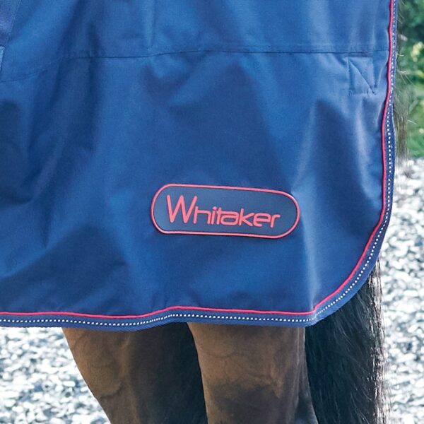 Rastrick 250g Combo Turnout Rug - Image 4