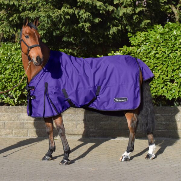 Lightweight Turnout Rug - Image 2