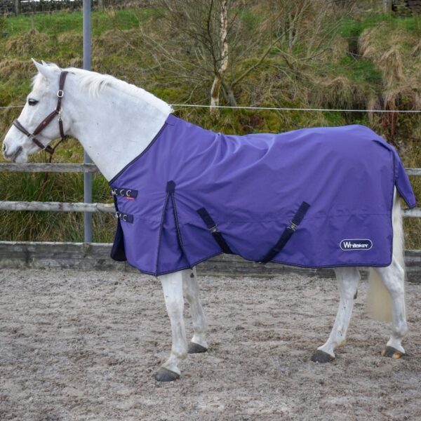 Lightweight Turnout Rug - Image 3