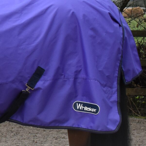 Lightweight Turnout Rug - Image 4