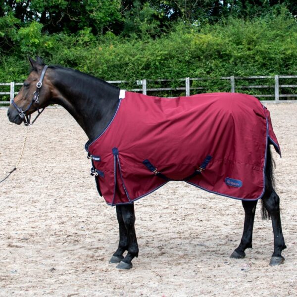 Lupin 100g Turnout Rug in Ruby - Image 2