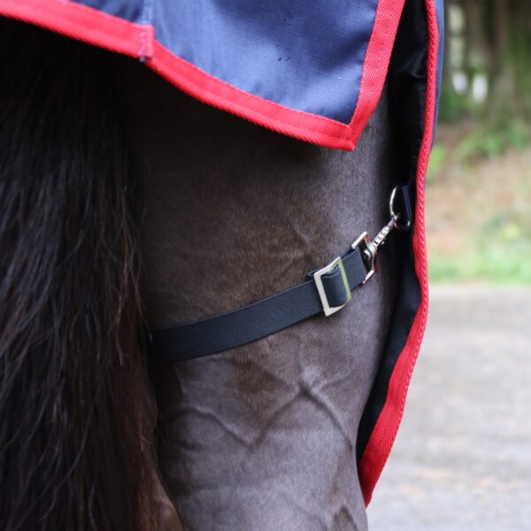 Rastrick V2 250g Combo Turnout Rug - Image 5