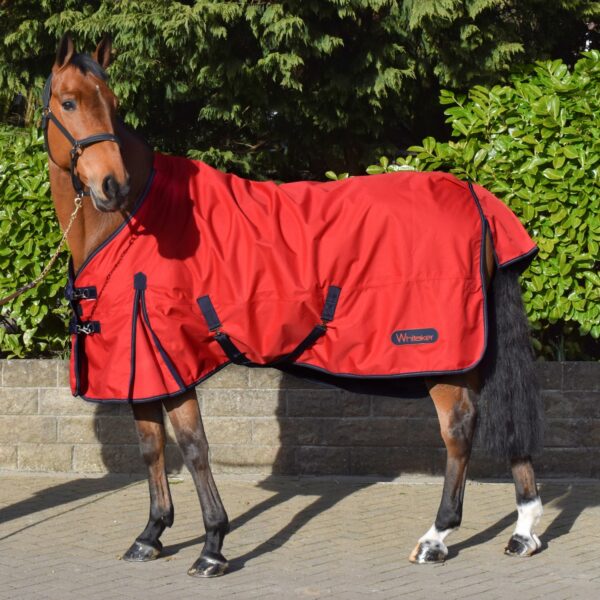 Rastrick 100g Lightweight Turnout Rug