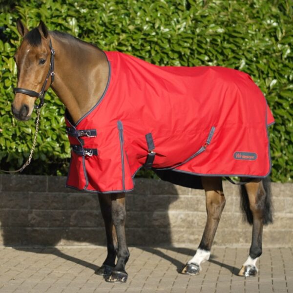 Rastrick 100g Lightweight Turnout Rug - Image 2