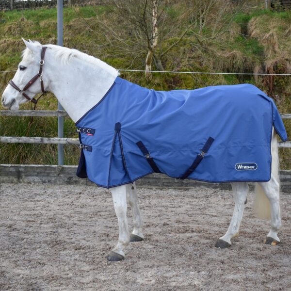 Lightweight Turnout Rug