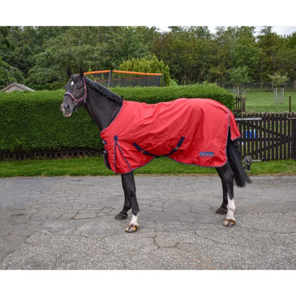 Rastrick 0g Lightweight Turnout Rug - Image 3