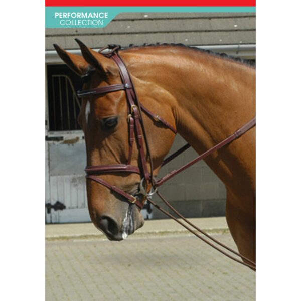 Training Reins - Image 2