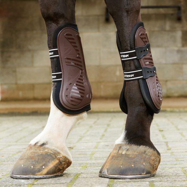 Bingley Tendon & Fetlock Set - Image 7