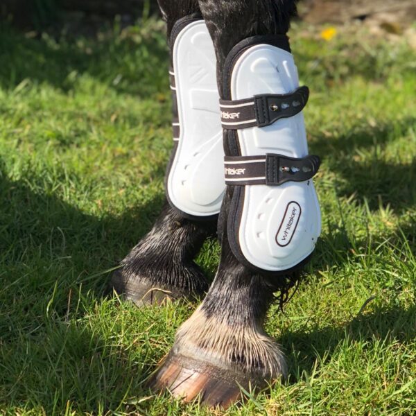 Bingley Tendon & Fetlock Set - Image 6