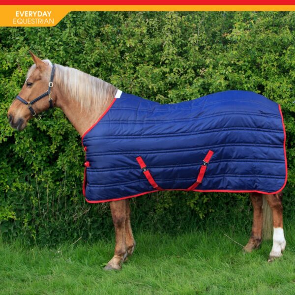 Thomas 250g Stable Rug