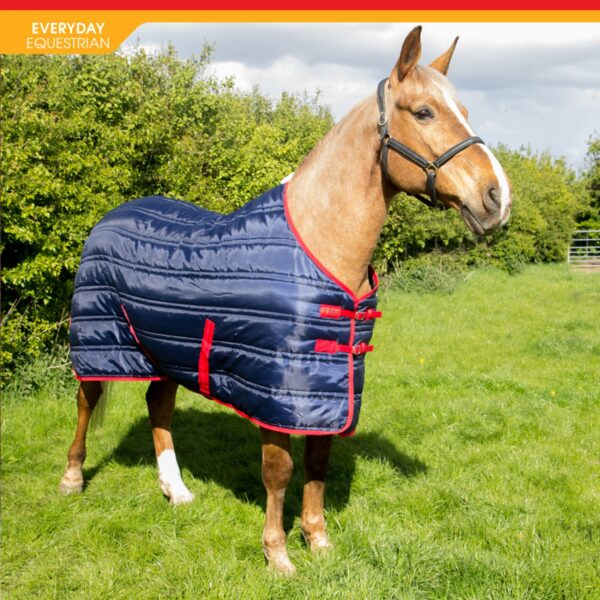 Thomas 250g Stable Rug - Image 3