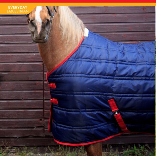 Thomas 250g Stable Rug - Image 4